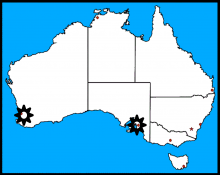 SAAB activity map