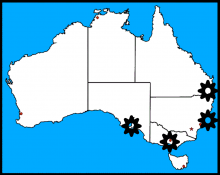 TAE activity map