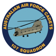 107 squadron badge