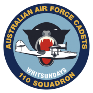 110 squadron badge