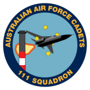 111 squadron badge