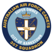 307 Squadron Badge