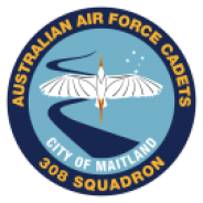 308 Squadron Badge