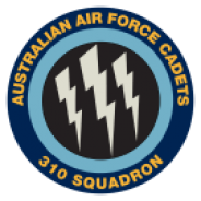 310 Squadron Badge