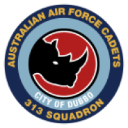 313 Squadron Badge