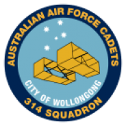 314 Squadron Badge