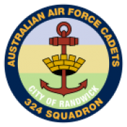 324 Squadron Badge