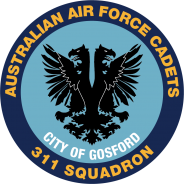 311 Squadron Badge