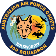 309 SQN Holsworthy badge